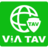 The ViA PAY Icon